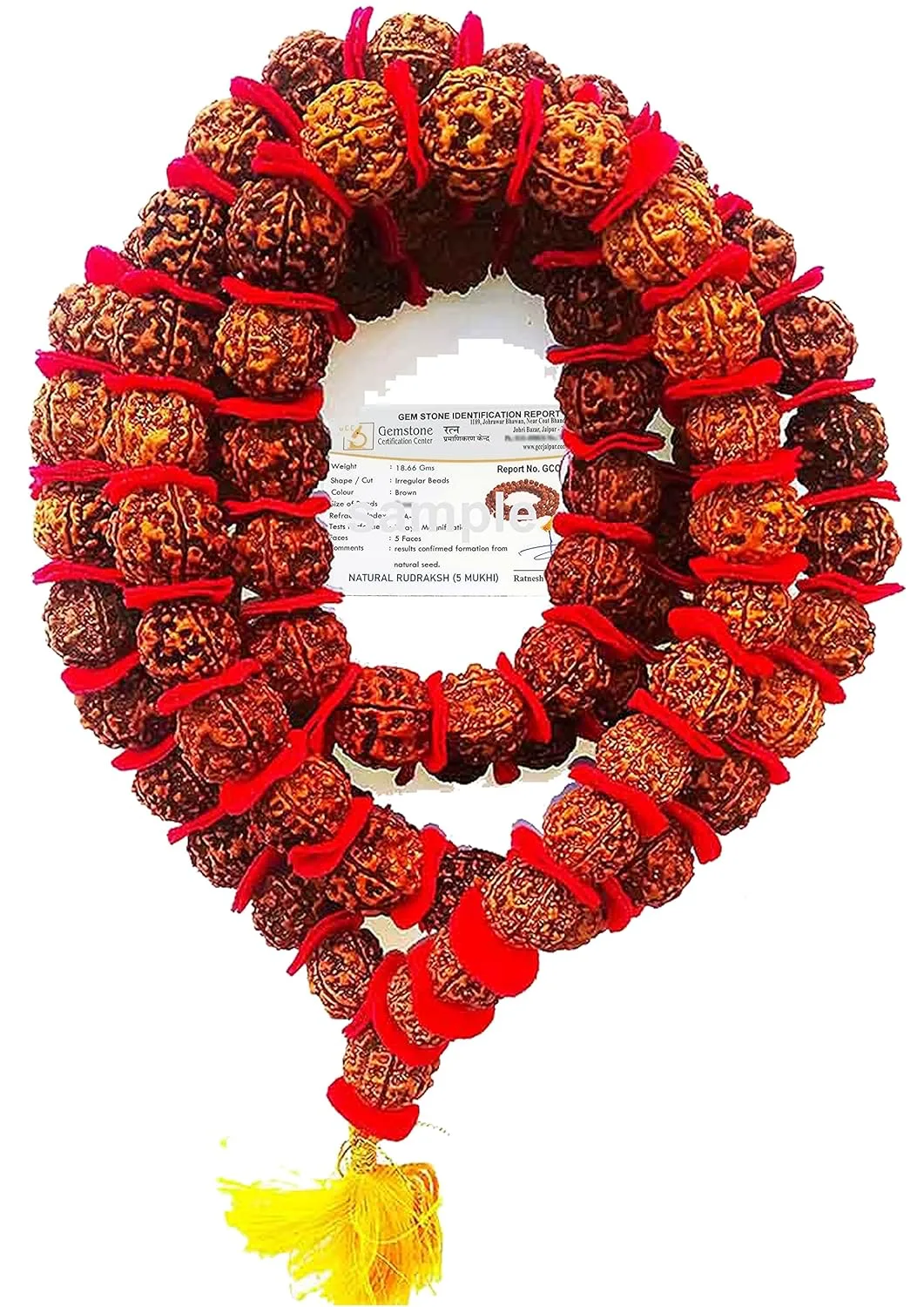 nepali 5 mukhi rudraksha mala