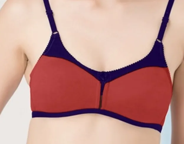 clovia full cup bra